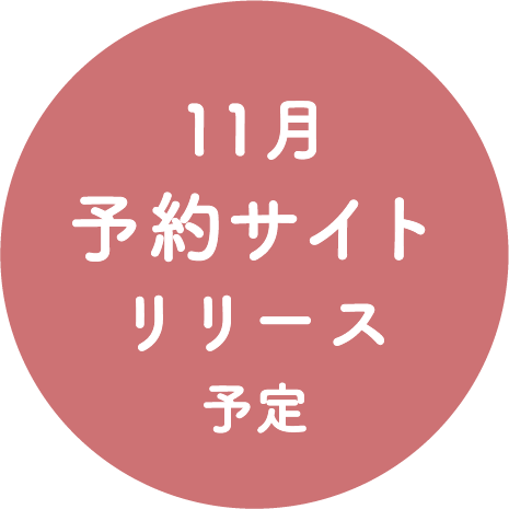 11月 予約サイト リリース予定